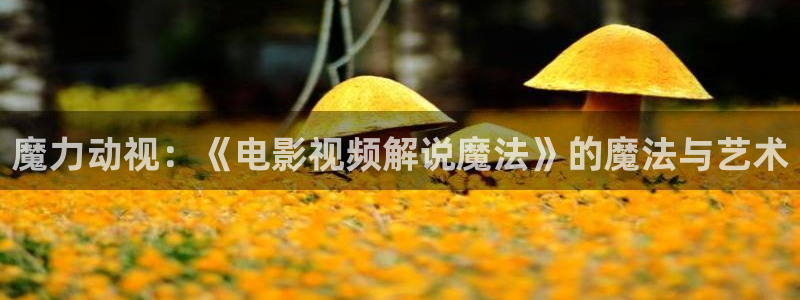 男人午夜在线视频