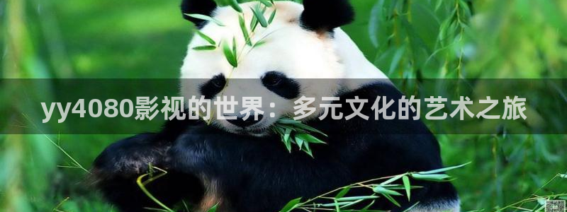 美女午夜100部免费看片