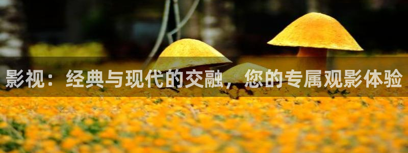 美国午夜电影