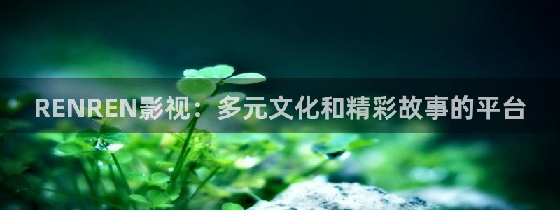日本午夜在线一区