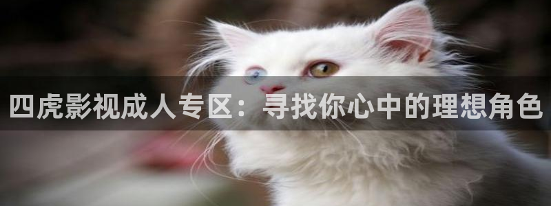 午夜免费电影