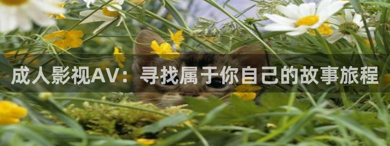 1313午夜电影