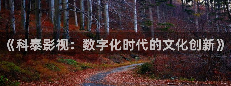 午夜tv在线视频免费观看