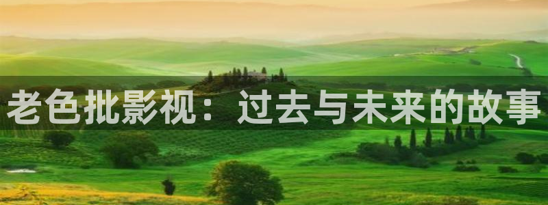 岛国午夜电影