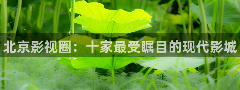 第四影院午夜