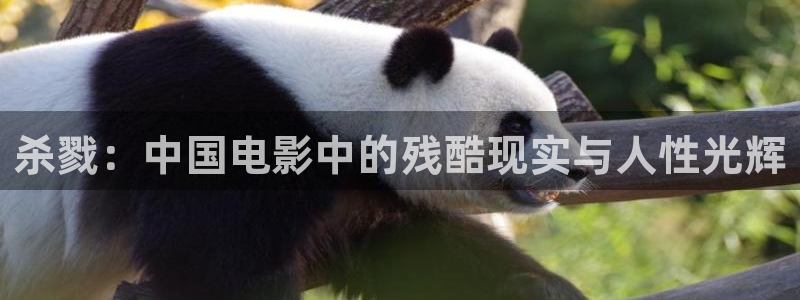 午夜av日韩在线观看