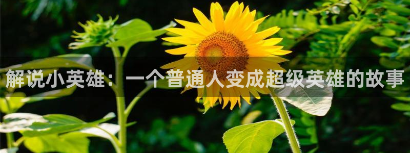 午夜凹凸影院