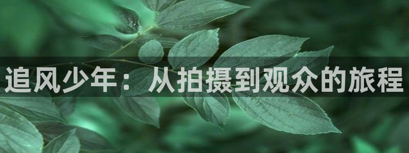 五码午夜看片爽爽
