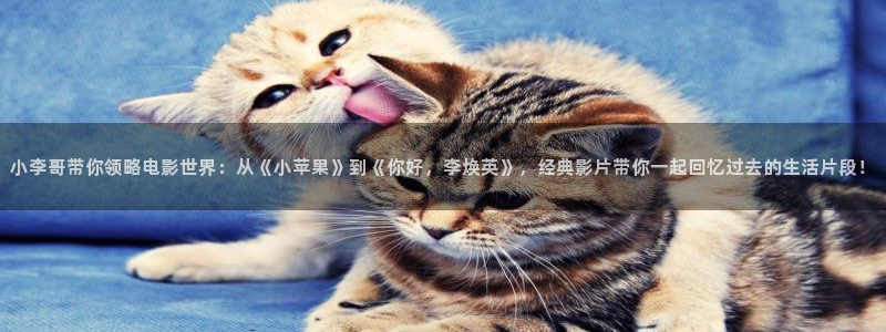午夜在线看片子