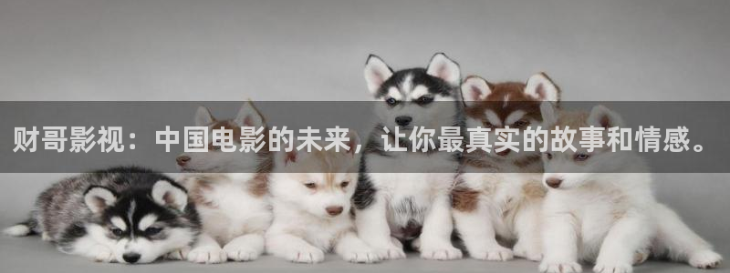 6080午夜伦理影院