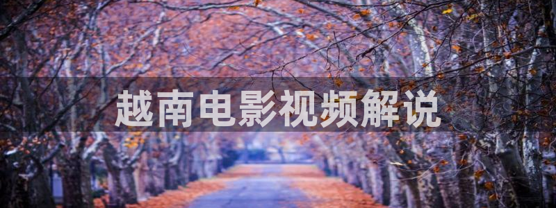 第四影院午夜