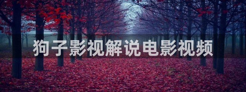 神马电影午夜片