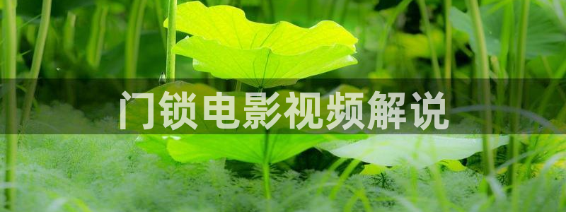 香港午夜神马伦理
