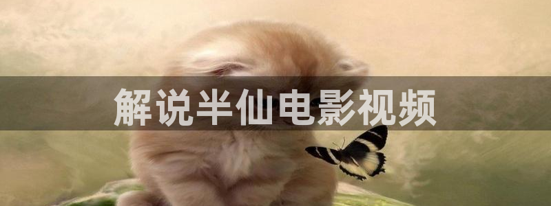 午夜片a级