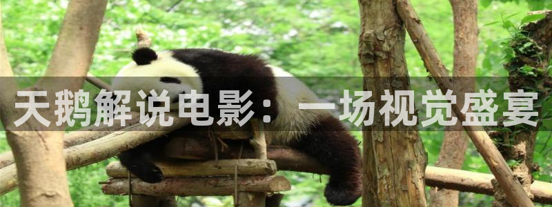 飘零午夜影院