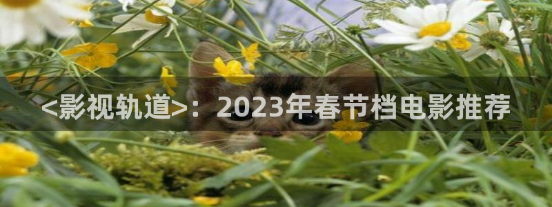 古代午夜电影