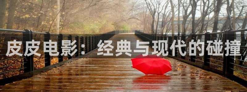 午夜精品久久久久久毛片