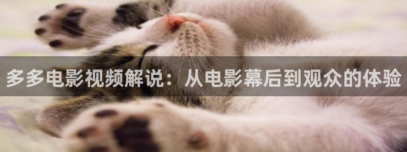 q2002影视午夜