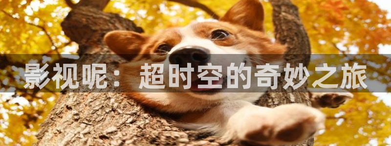 午夜19影院