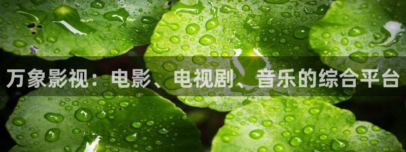 秋霞午夜毛片
