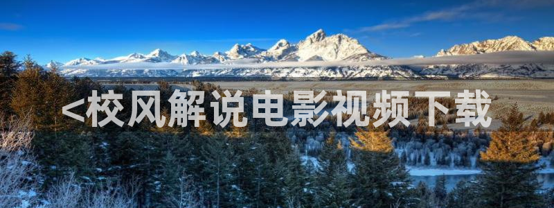 欧美午夜黄色影院