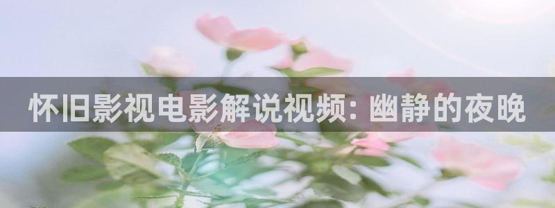 91神马午夜影院