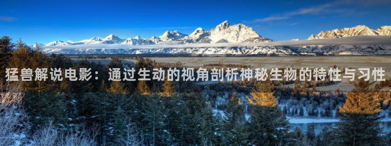 午夜国产av影院：猛兽解说电影：通过生动的视角剖析神秘生物的特性与习性