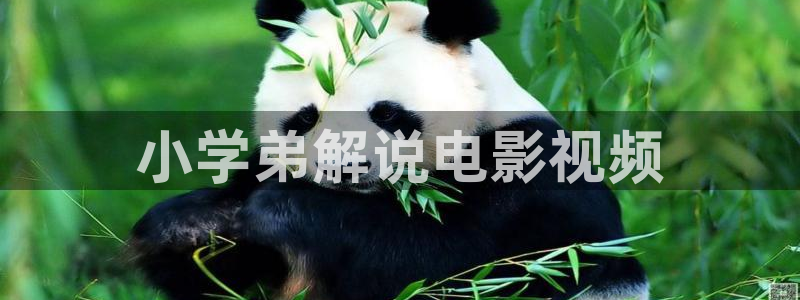 午夜神马国产影院：小学弟解说电影视频