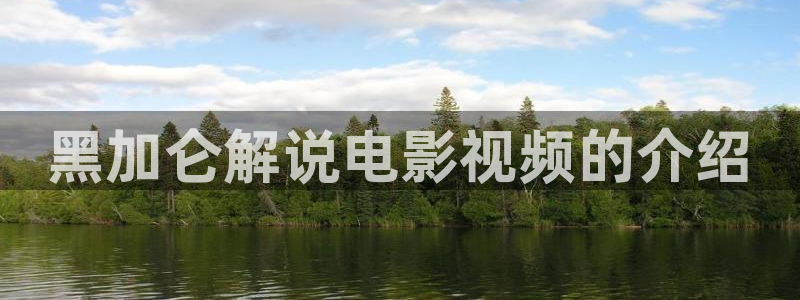 7080理论片午夜电影在线：黑加仑解说电影视频的介绍