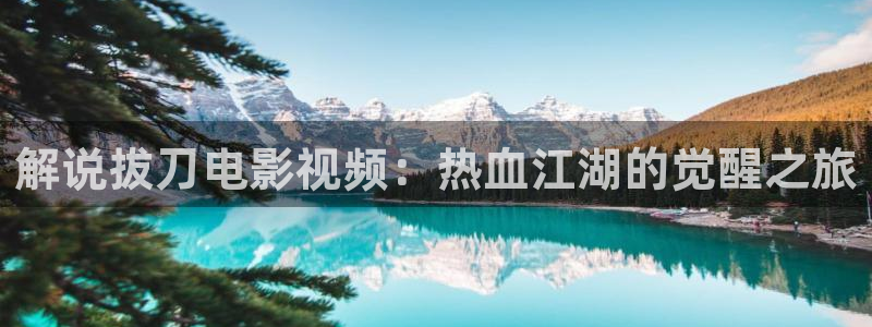 午夜成年在线电影：解说拔刀电影视频：热血江湖的觉醒之旅