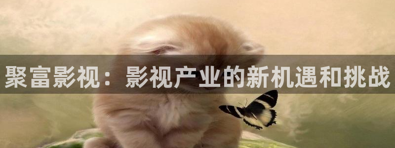 午夜免费成人av：聚富影视：影视产业的新机遇和挑战