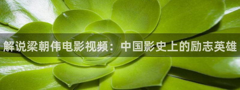 爱在午夜降临前完整版免费观看：解说梁朝伟电影视频：中国影史上的励志英雄