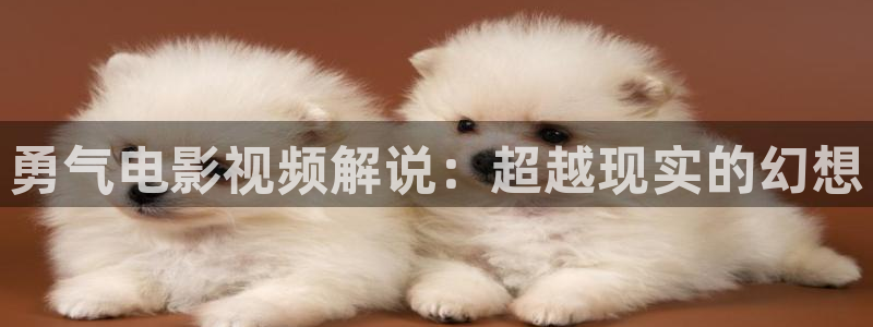 午夜爽爽电影：勇气电影视频解说：超越现实的幻想