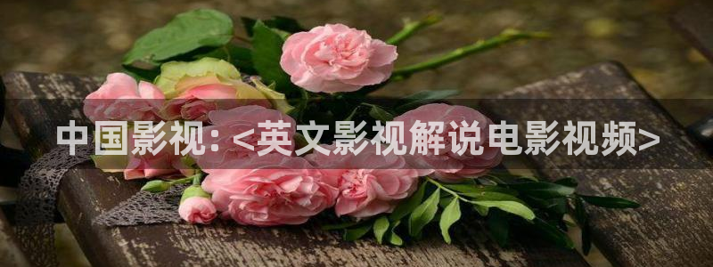 老司机午夜电影福利：中国影视: <英文影视解说电影视频>