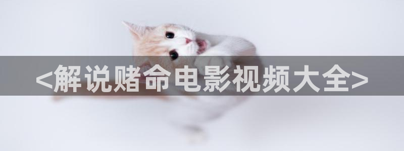 高清午夜影院：<解说赌命电影视频大全>