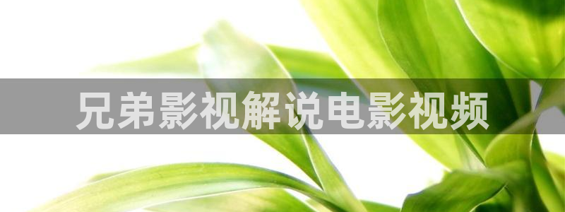 午夜国产福利影院：兄弟影视解说电影视频