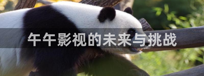 午夜影视在线观看视频：午午影视的未来与挑战
