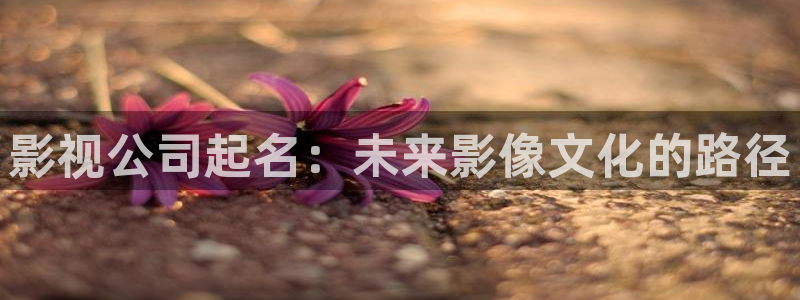 男女大片午夜：影视公司起名：未来影像文化的路径