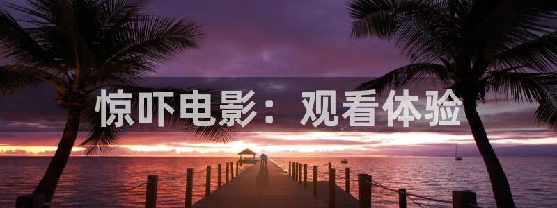日韩午夜影院直播：惊吓电影：观看体验