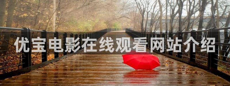 日韩成人午夜大片：优宝电影在线观看网站介绍