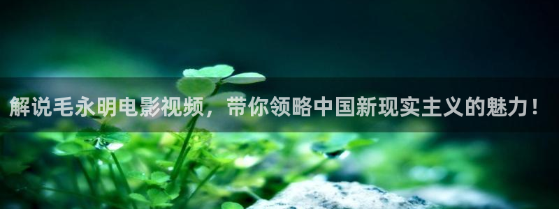 午夜好看的电影：解说毛永明电影视频，带你领略中国新现实主义的魅力！