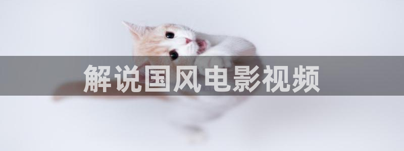 午夜在线观看电影：解说国风电影视频