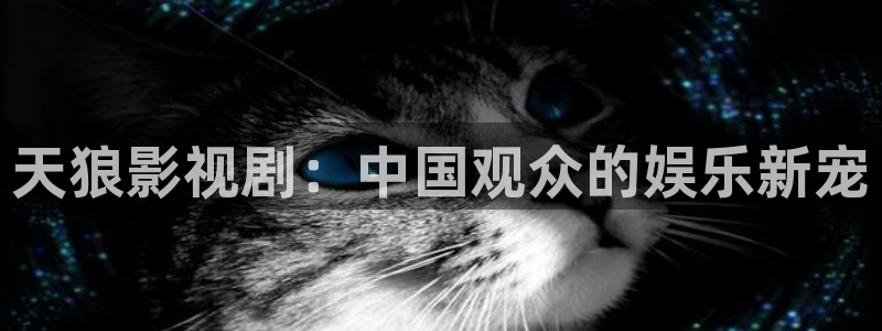日本午夜电影：天狼影视剧：中国观众的娱乐新宠