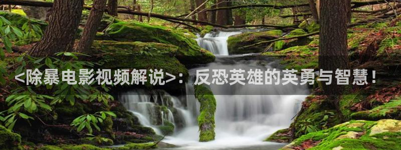国产精品久久久久久久午夜片：<除暴电影视频解说>：反恐英雄的英勇与智慧！