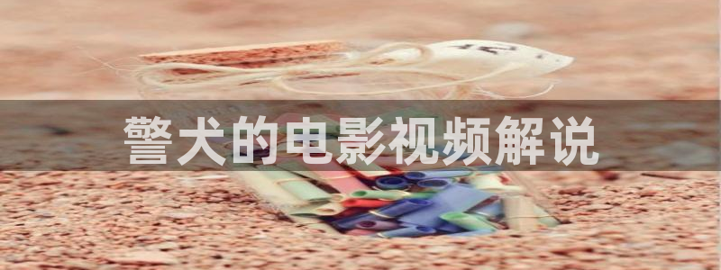 好看的午夜影院：警犬的电影视频解说