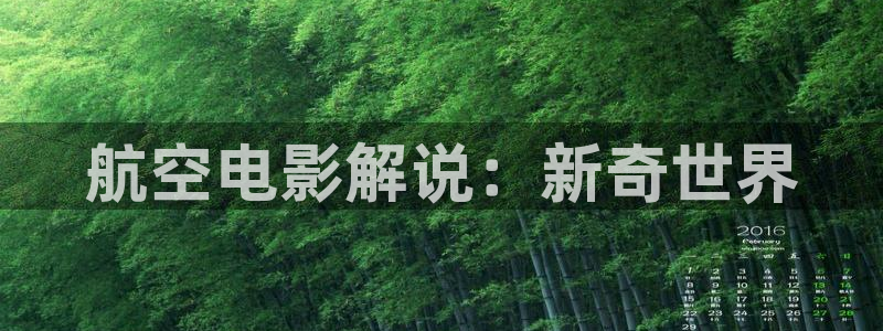 八戒影院午夜福利：航空电影解说：新奇世界
