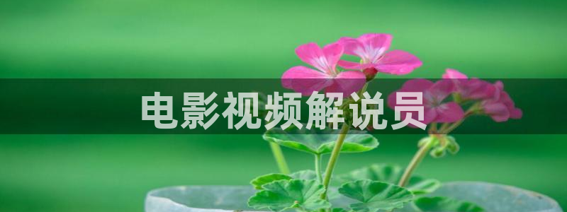 黄色午夜影视：电影视频解说员