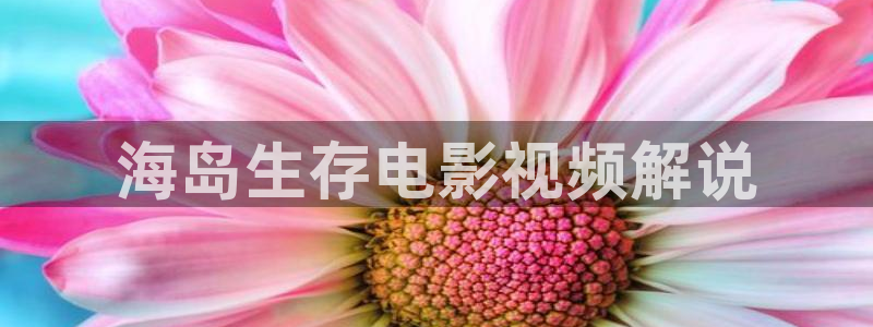 秋霞午夜鲁丝片午夜精品：海岛生存电影视频解说