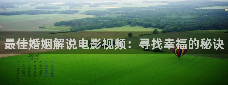 午夜网站电影：最佳婚姻解说电影视频：寻找幸福的秘诀