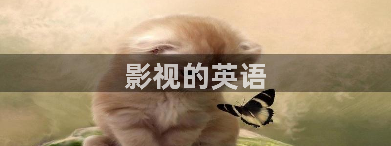 在线观看电影午夜